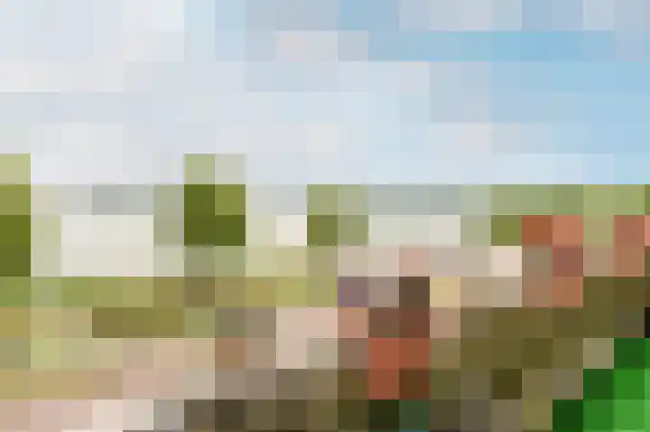 Urkwal 35 Almere thumbnail 9