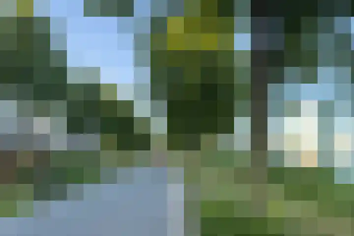 Urkwal 68 Almere thumbnail 38