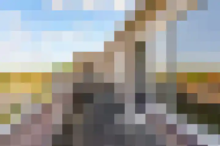 Urkwal 70 Almere thumbnail 31