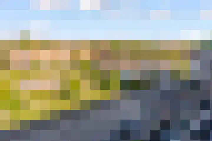 Urkwal 70 Almere thumbnail 4