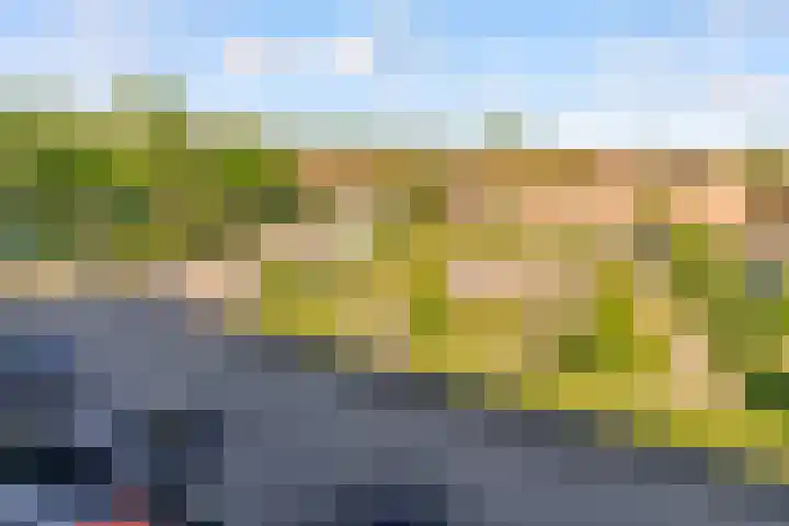Urkwal 70 Almere thumbnail 9