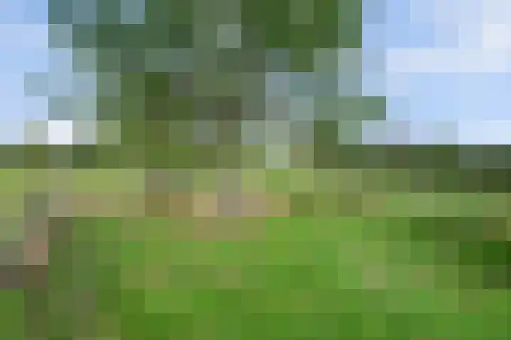 Urlingsestraat 4 Oeffelt thumbnail 103