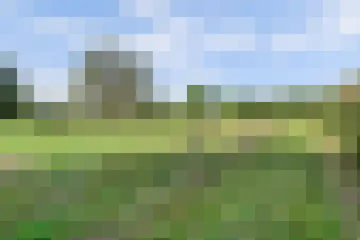 Urlingsestraat 4 Oeffelt thumbnail 106
