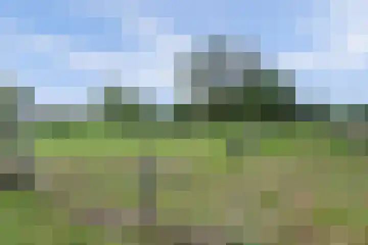 Urlingsestraat 4 Oeffelt thumbnail 107