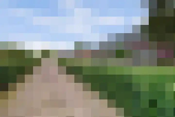Urlingsestraat 4 Oeffelt thumbnail 11