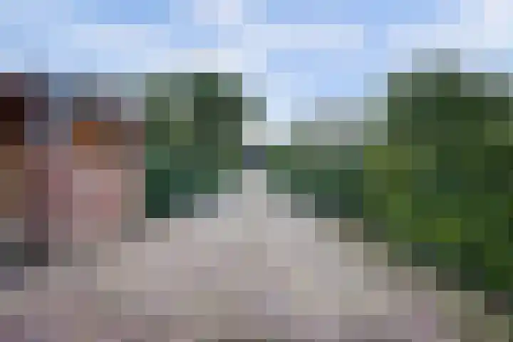 Urlingsestraat 4 Oeffelt thumbnail 13