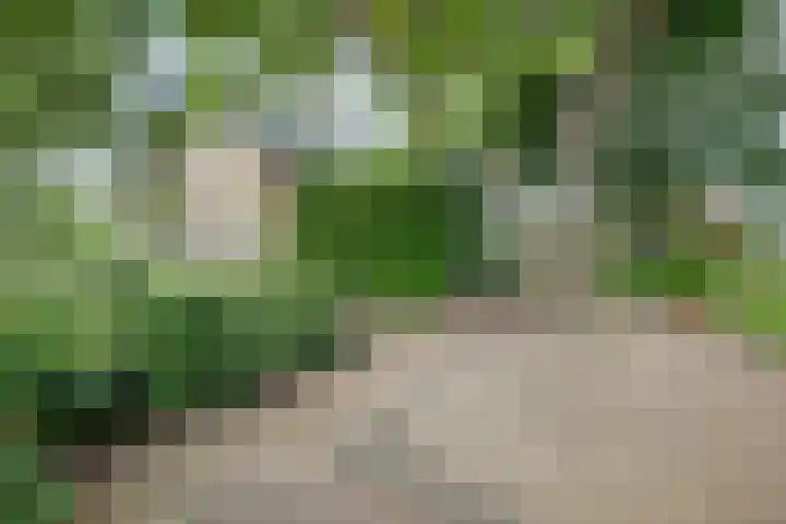 Urlingsestraat 4 Oeffelt thumbnail 17