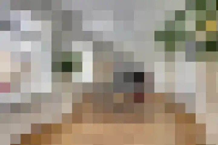 Urlingsestraat 4 Oeffelt thumbnail 31