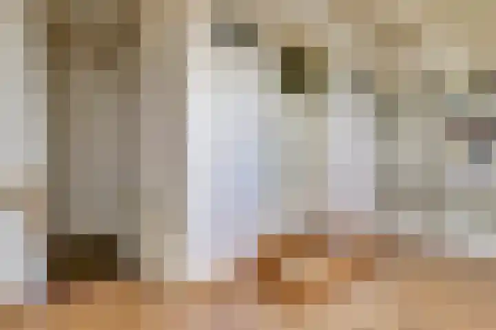 Urlingsestraat 4 Oeffelt thumbnail 52