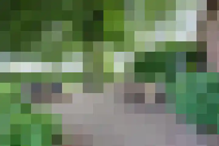 Urlingsestraat 4 Oeffelt thumbnail 62