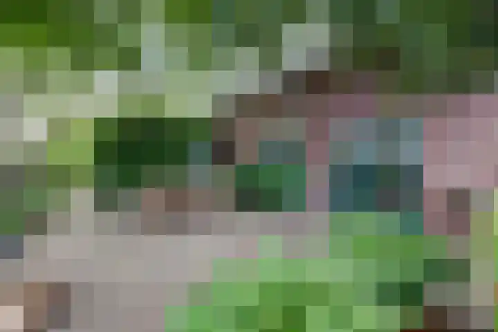Urlingsestraat 4 Oeffelt thumbnail 63