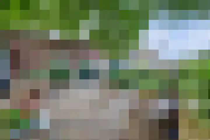 Urlingsestraat 4 Oeffelt thumbnail 64