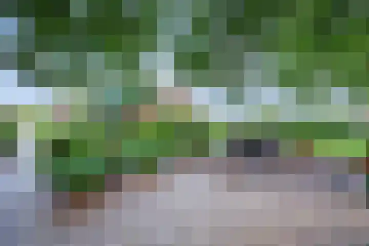 Urlingsestraat 4 Oeffelt thumbnail 65