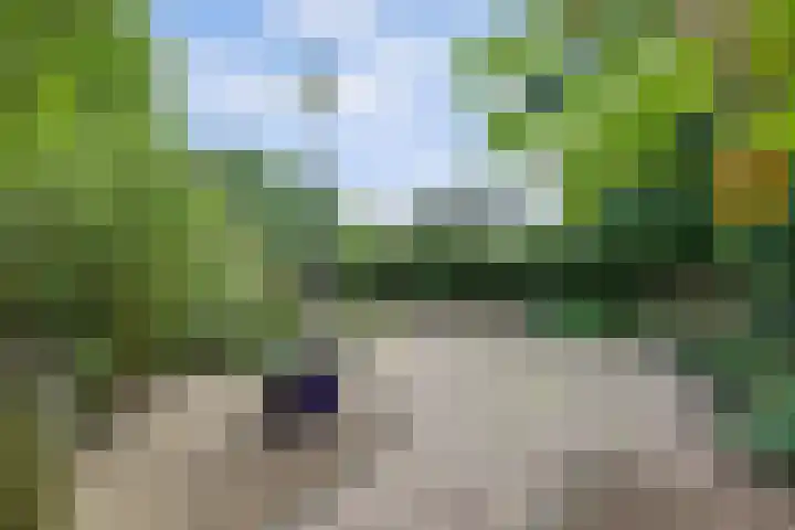 Urlingsestraat 4 Oeffelt thumbnail 66