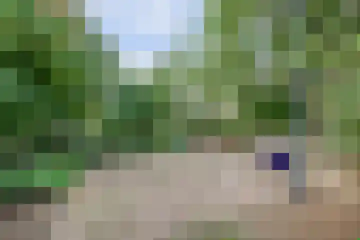 Urlingsestraat 4 Oeffelt thumbnail 67