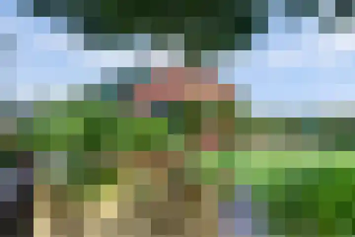 Urlingsestraat 4 Oeffelt thumbnail 68