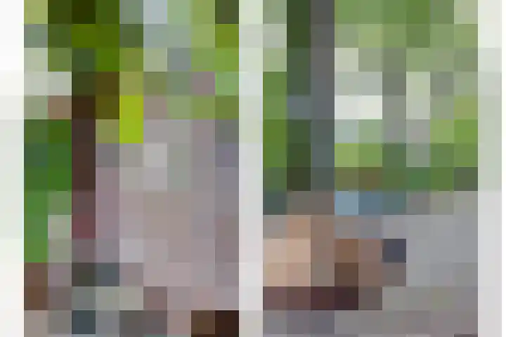 Urlingsestraat 4 Oeffelt thumbnail 72