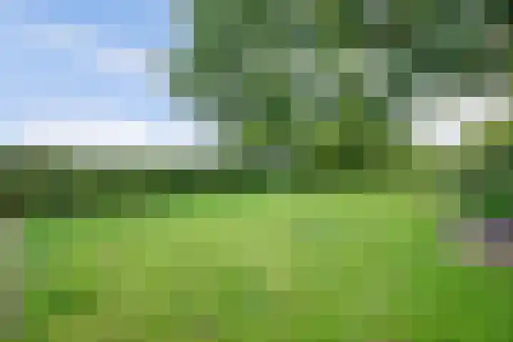 Urlingsestraat 4 Oeffelt thumbnail 73