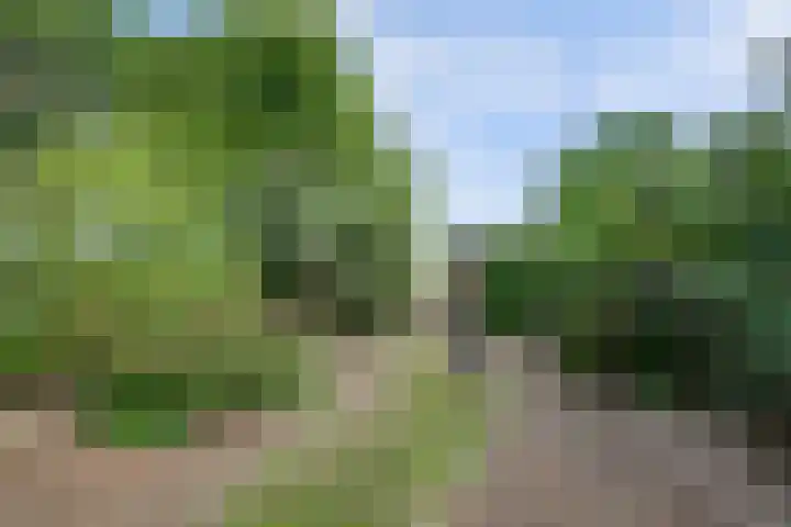 Urlingsestraat 4 Oeffelt thumbnail 74