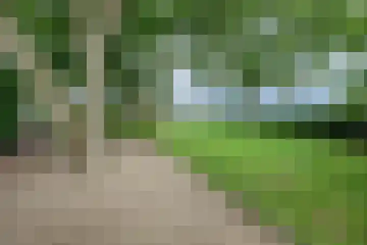 Urlingsestraat 4 Oeffelt thumbnail 75