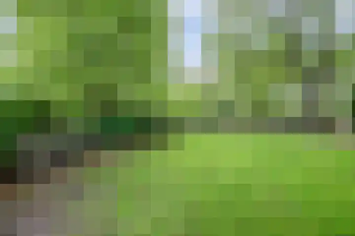 Urlingsestraat 4 Oeffelt thumbnail 76