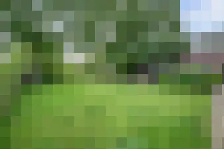 Urlingsestraat 4 Oeffelt thumbnail 77