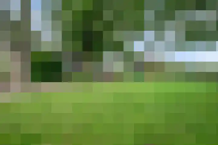 Urlingsestraat 4 Oeffelt thumbnail 78