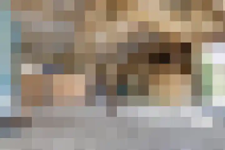 Urlingsestraat 4 Oeffelt thumbnail 98