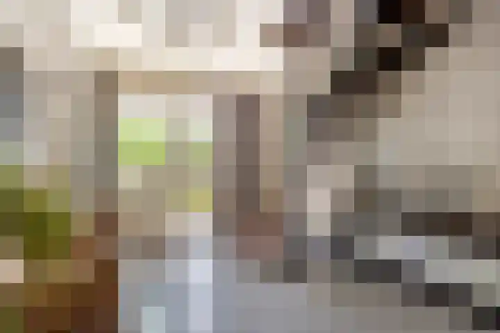 Urlingsestraat 6 Oeffelt thumbnail 10