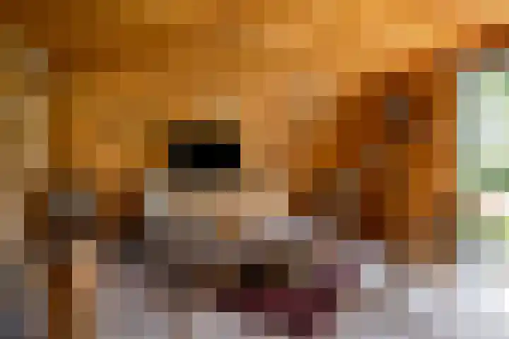 Urlingsestraat 6 Oeffelt thumbnail 30