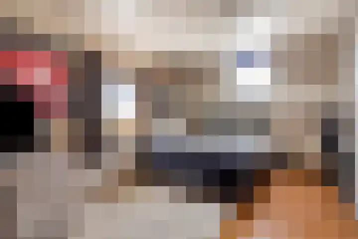Urlingsestraat 6 Oeffelt thumbnail 37