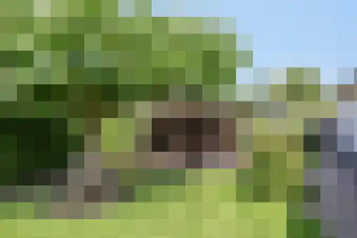 Urlingsestraat 6 Oeffelt thumbnail 41