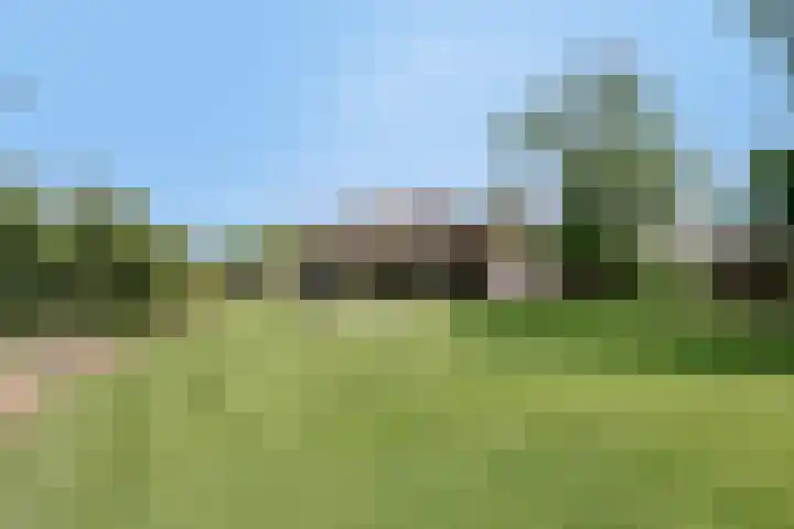 Urlingsestraat 6 Oeffelt thumbnail 45