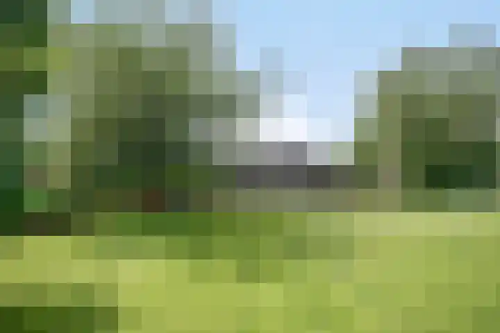 Urlingsestraat 6 Oeffelt thumbnail 46