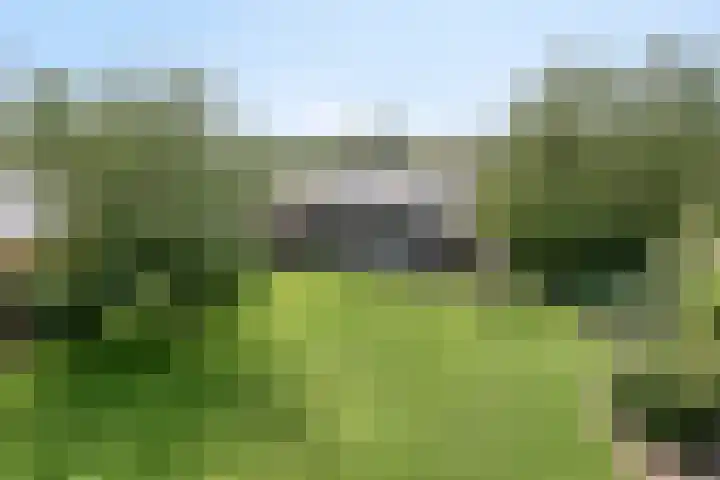 Urlingsestraat 6 Oeffelt thumbnail 47