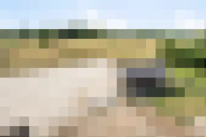 Urlingsestraat 6 Oeffelt thumbnail 48