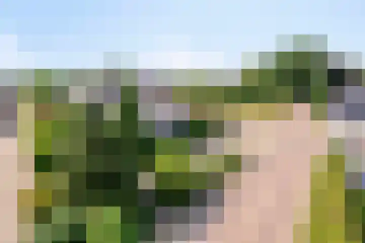 Urlingsestraat 6 Oeffelt thumbnail 8