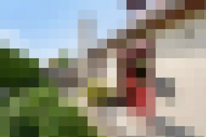 Urlingsestraat 6 Oeffelt thumbnail 9