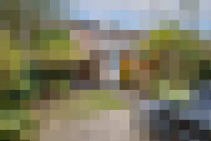 Urlusstraat 18 Utrecht thumbnail 17