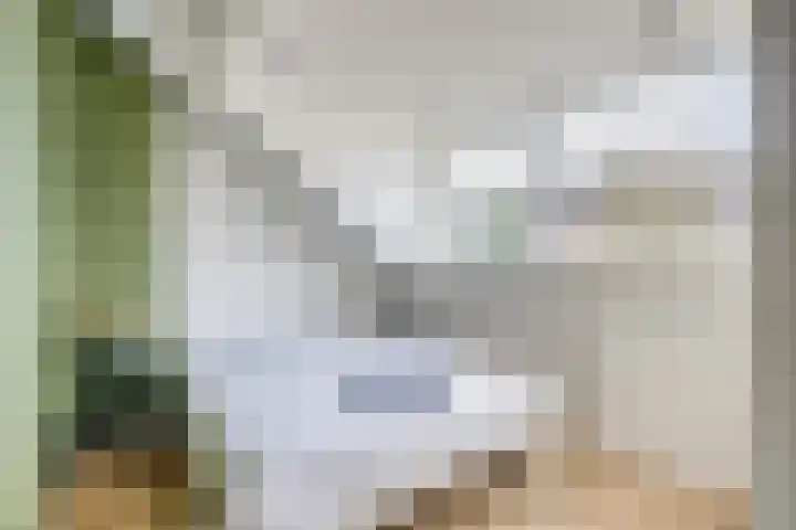 Urlusstraat 18 Utrecht thumbnail 34