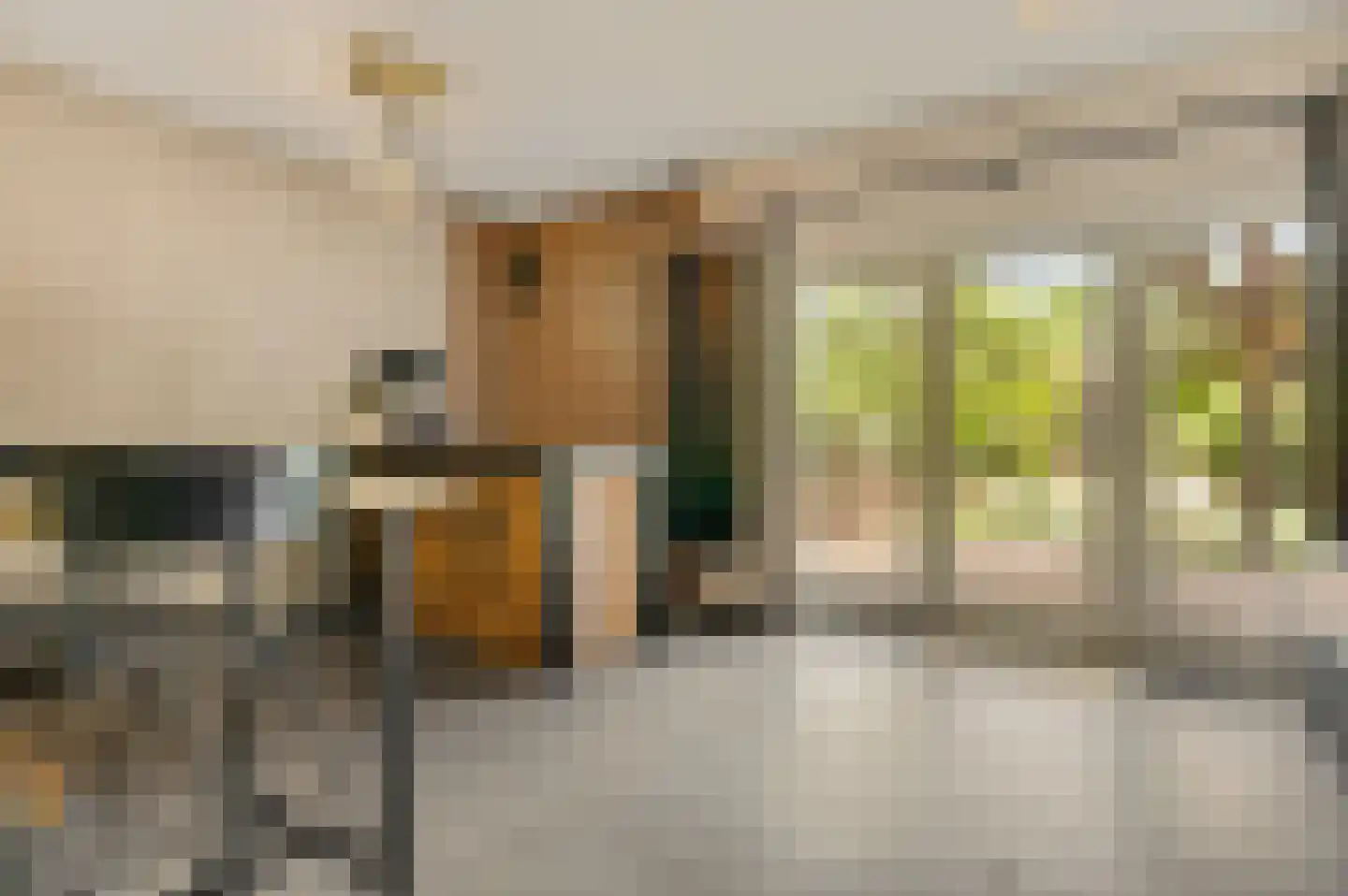 Urmonder Maasstraat 3 Urmond thumbnail 13