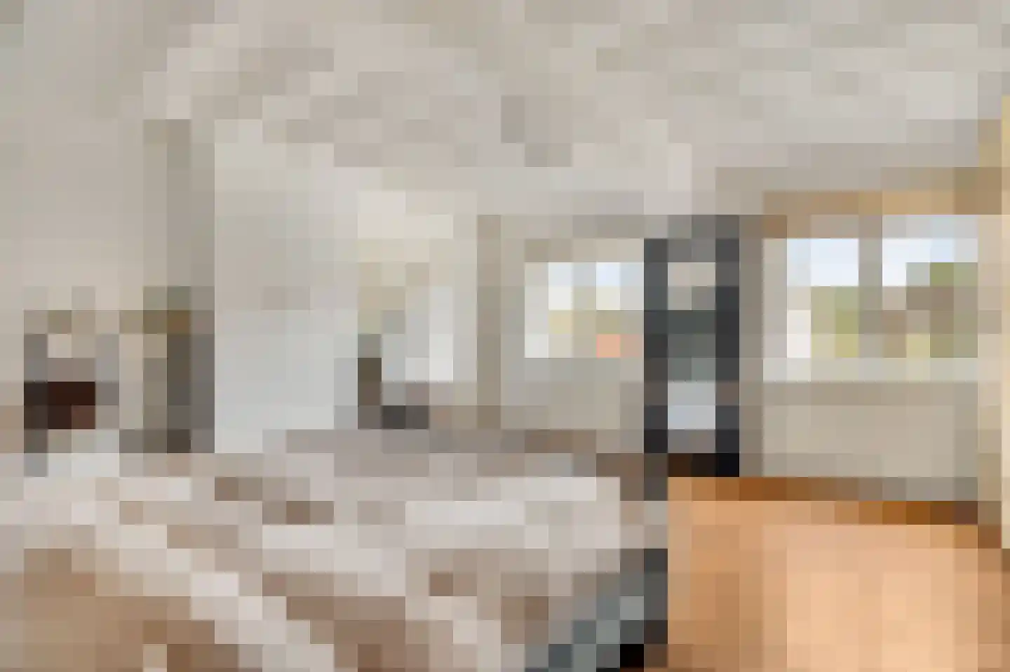 Urmonder Maasstraat 3 Urmond thumbnail 17