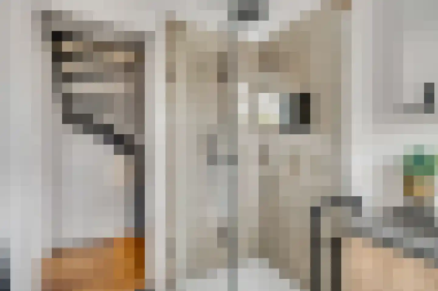 Urmonder Maasstraat 3 Urmond thumbnail 19