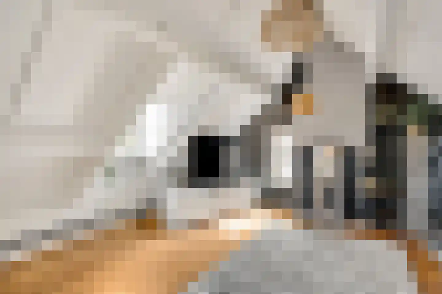 Urmonder Maasstraat 3 Urmond thumbnail 23