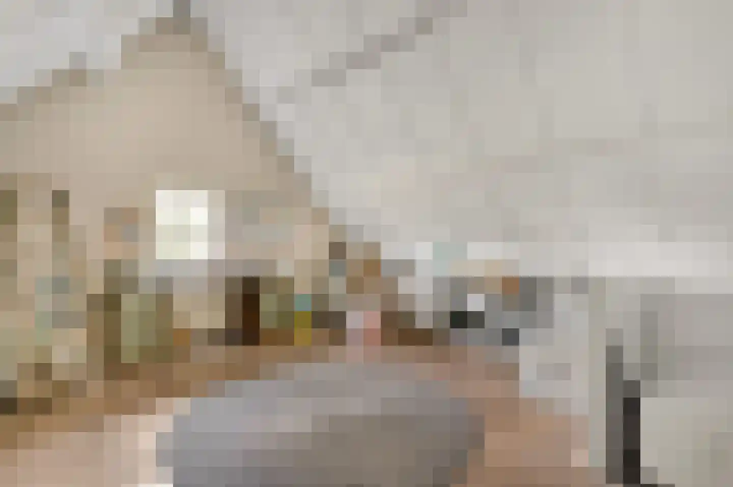 Urmonder Maasstraat 3 Urmond thumbnail 25