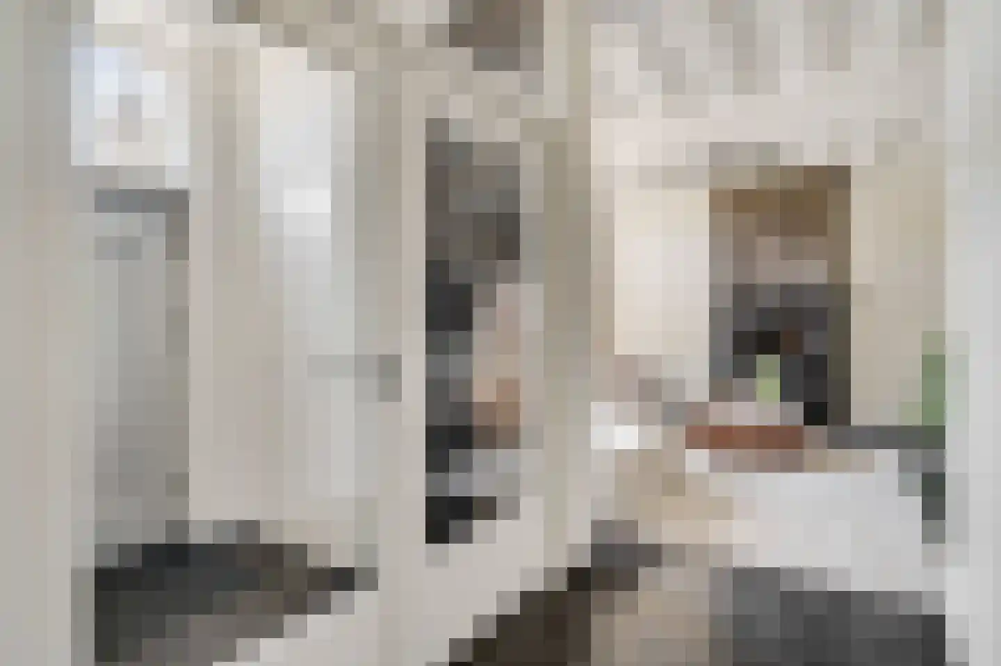Urmonder Maasstraat 3 Urmond thumbnail 6