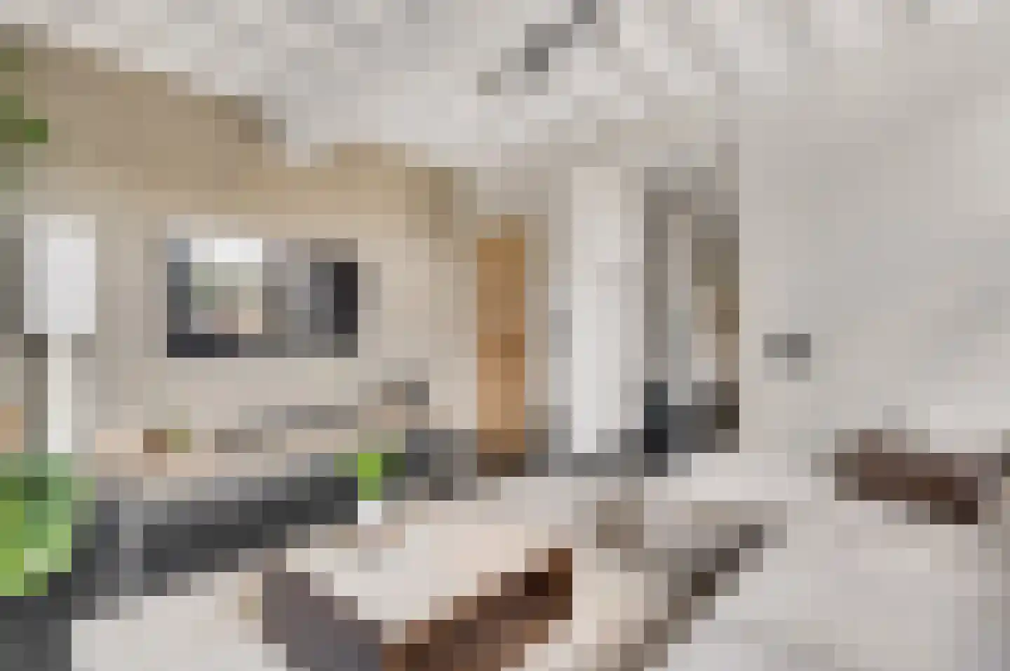 Urmonder Maasstraat 3 Urmond thumbnail 8