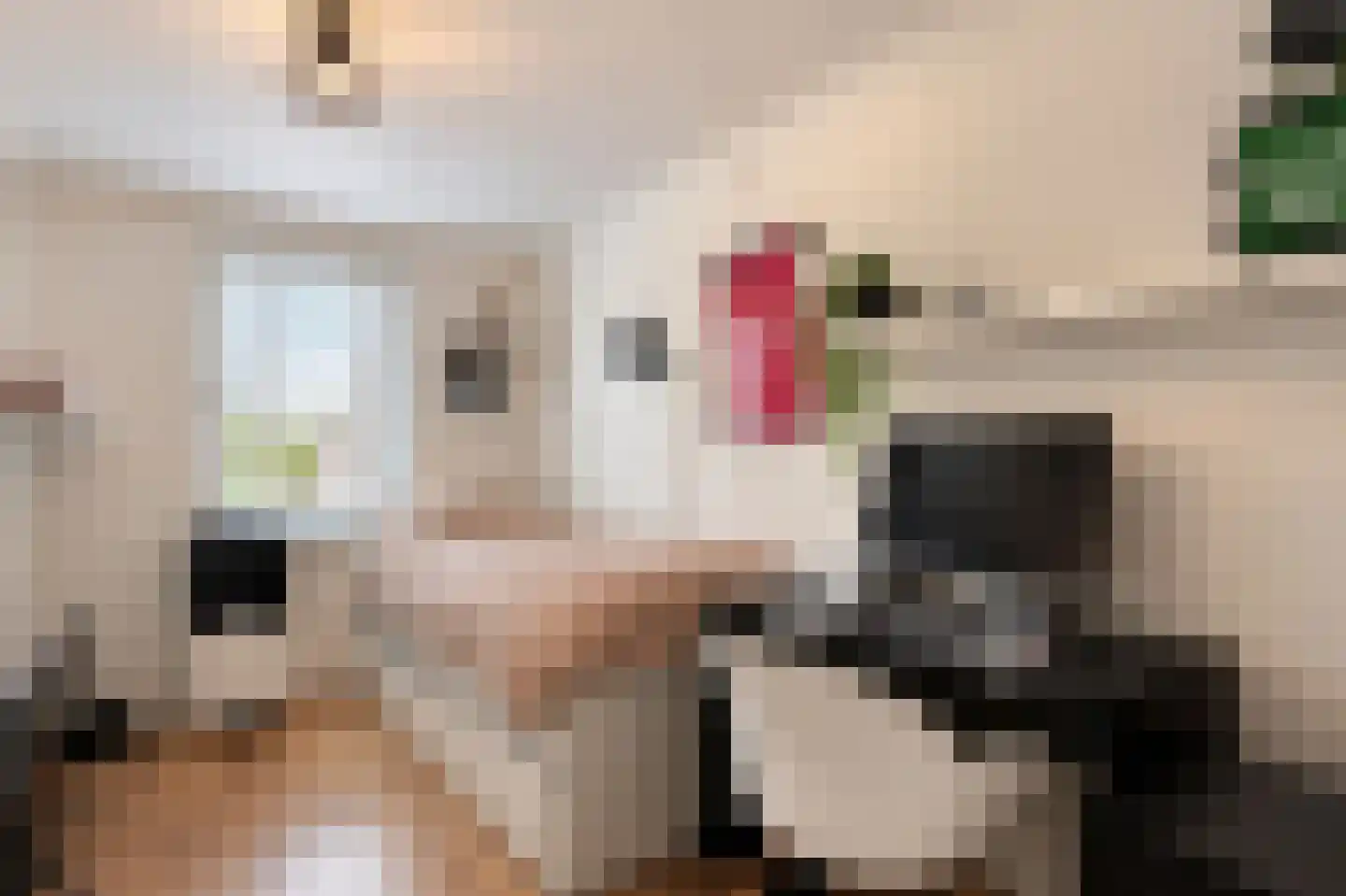 Urmonder Maasstraat 4 Urmond thumbnail 14