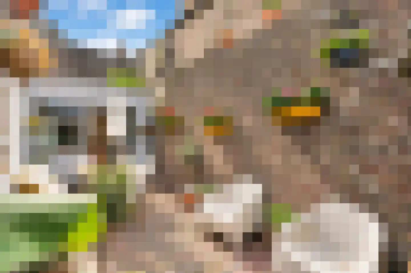 Urmonder Maasstraat 4 Urmond thumbnail 21
