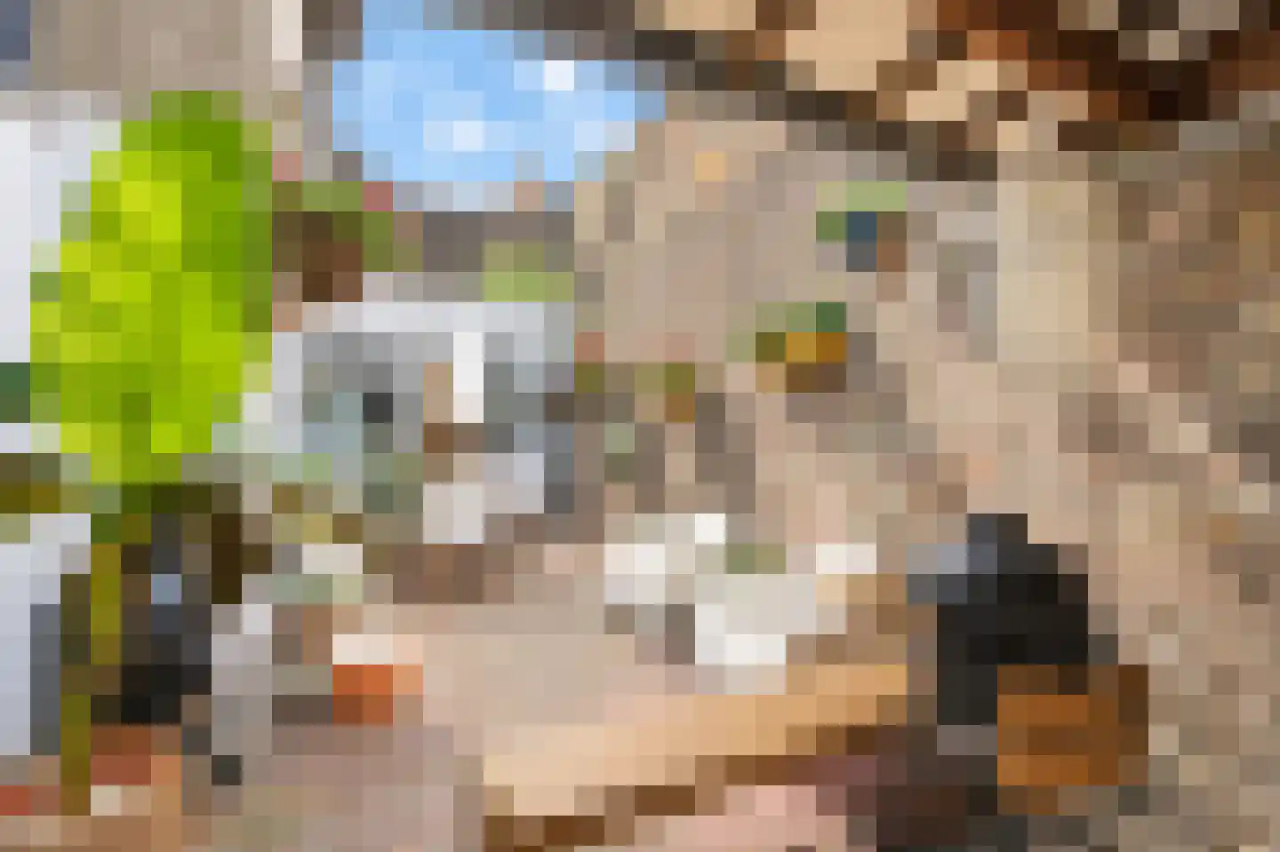 Urmonder Maasstraat 4 Urmond thumbnail 26